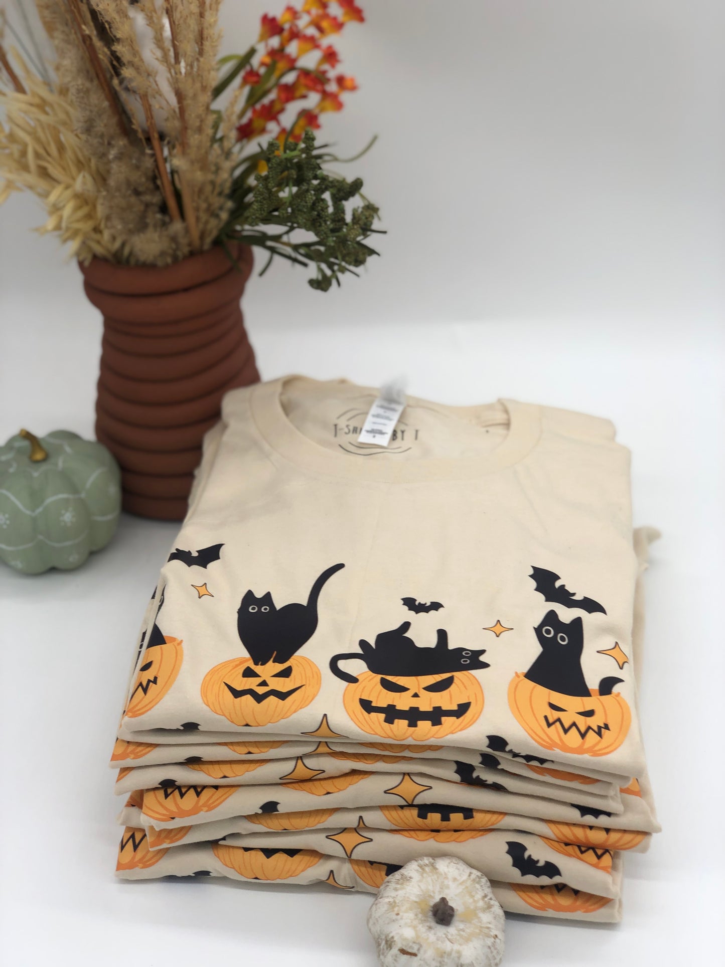 Pumpkins and black cat