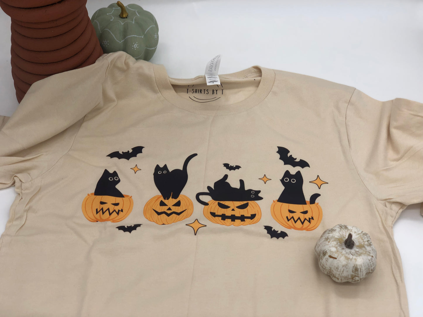 Pumpkins and black cat