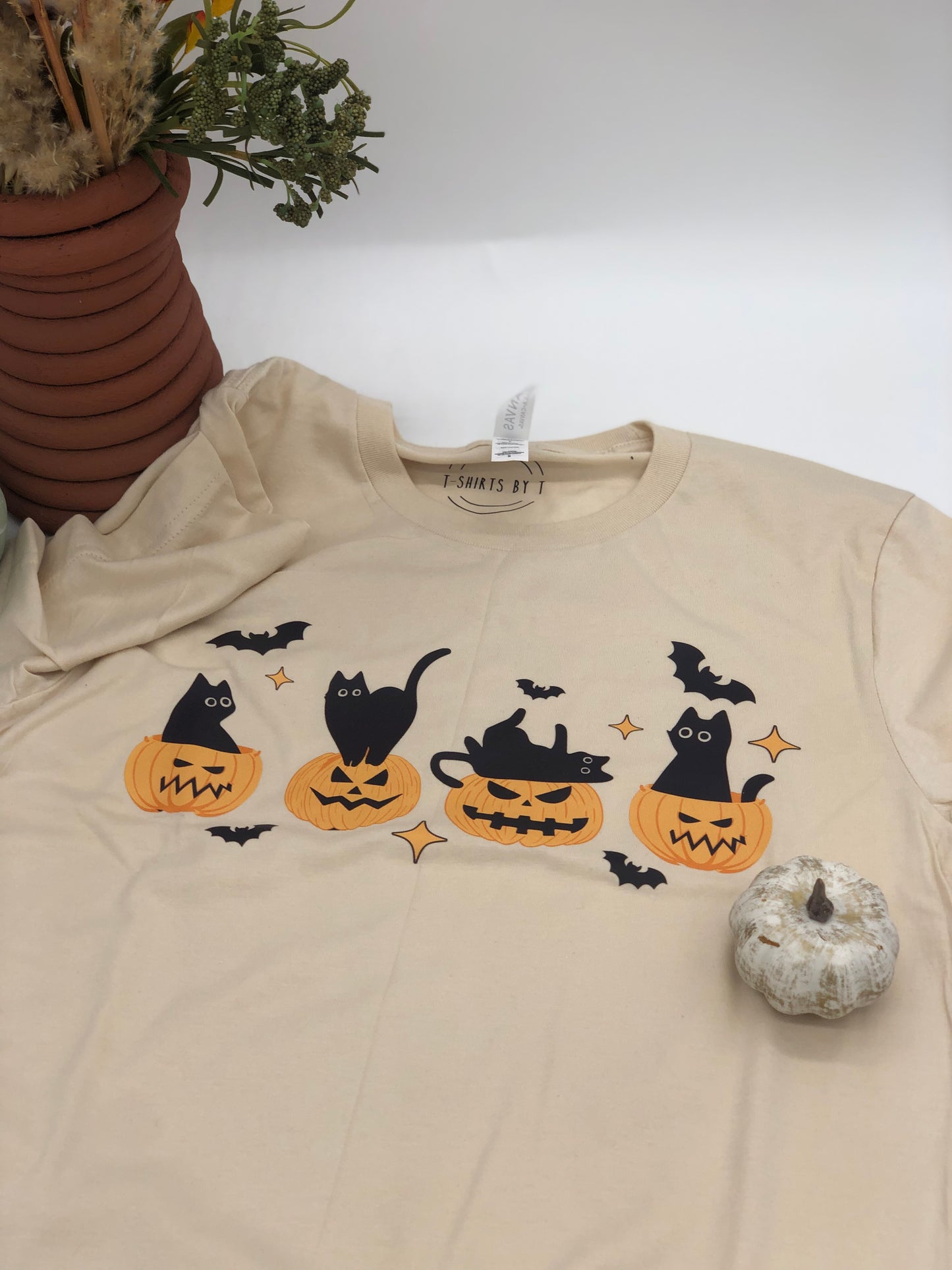 Pumpkins and black cat