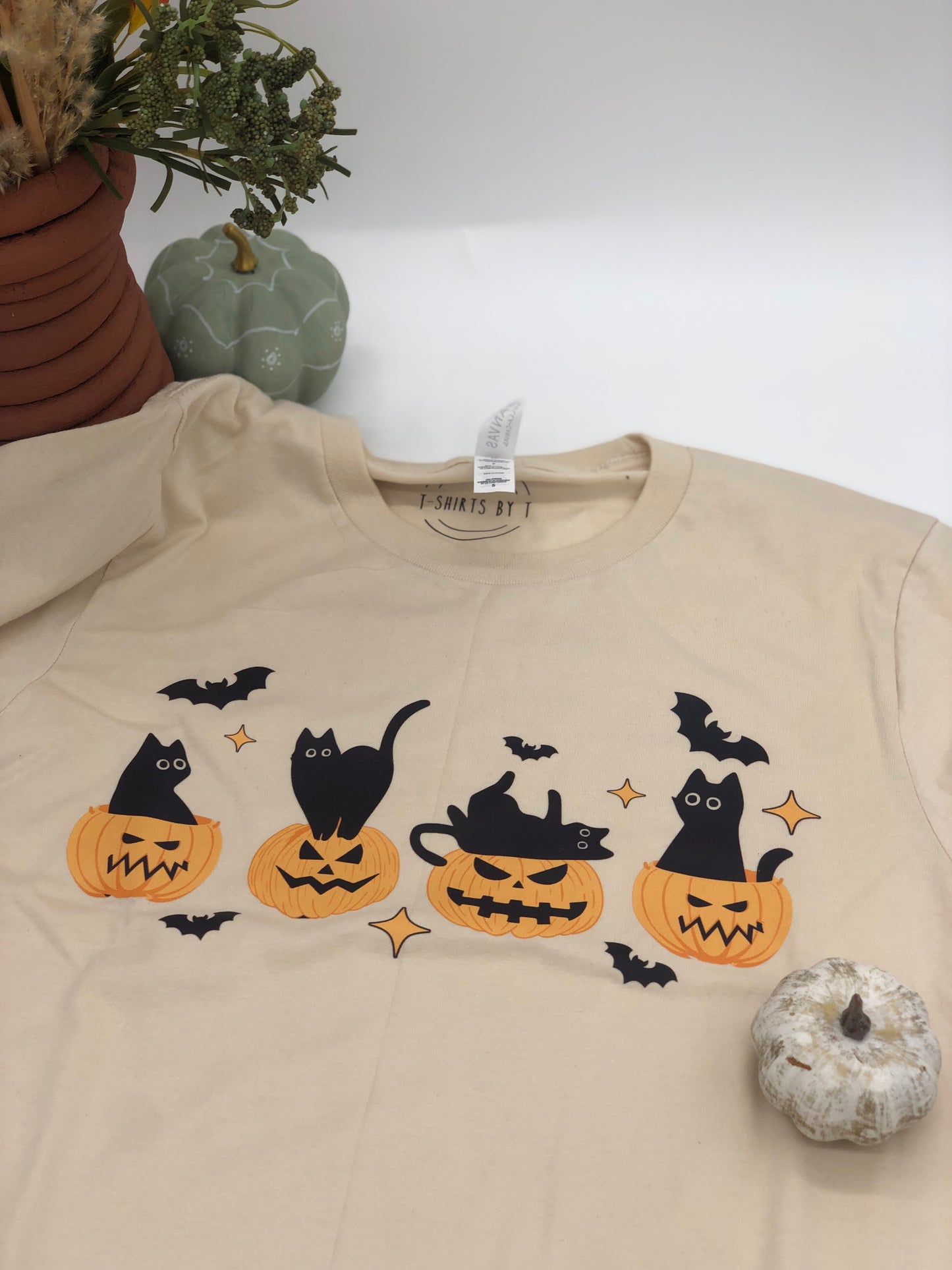 Pumpkins and black cat